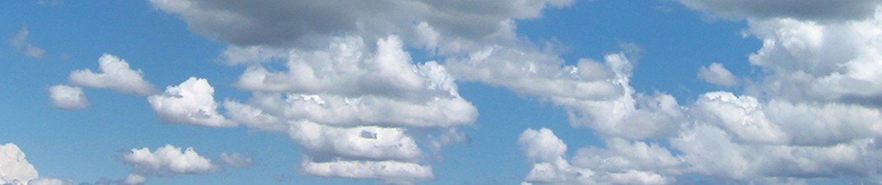 TAYO