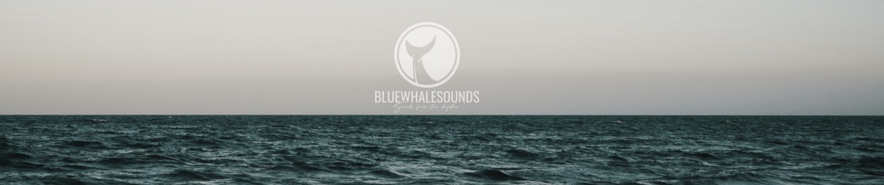 bluewhalesounds