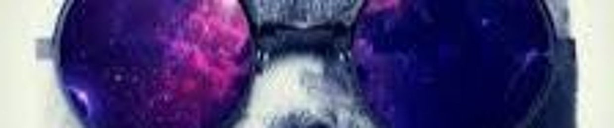 User 920265501