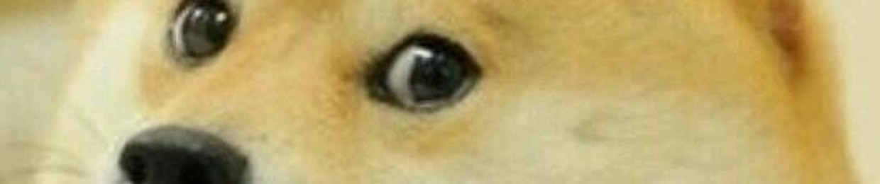 xXlui_the_llamaXx