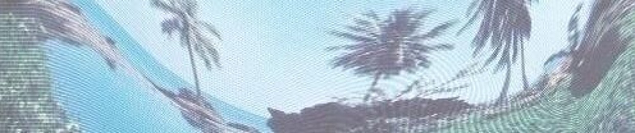 Raid in Cabo