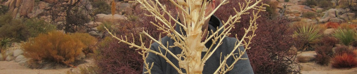 Jason Labbe on Drums