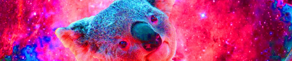 Lucid Koala