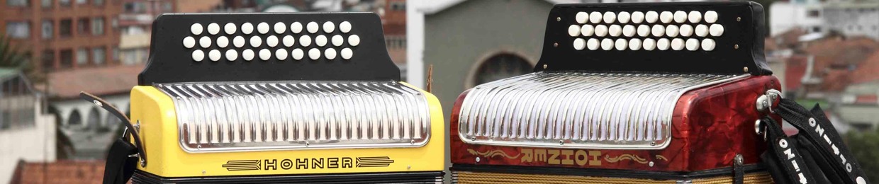 Pablo Araujo ACORDEONERO