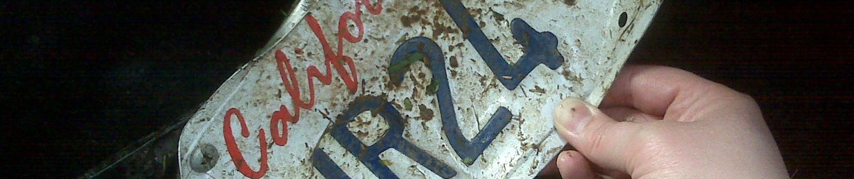SugarChips