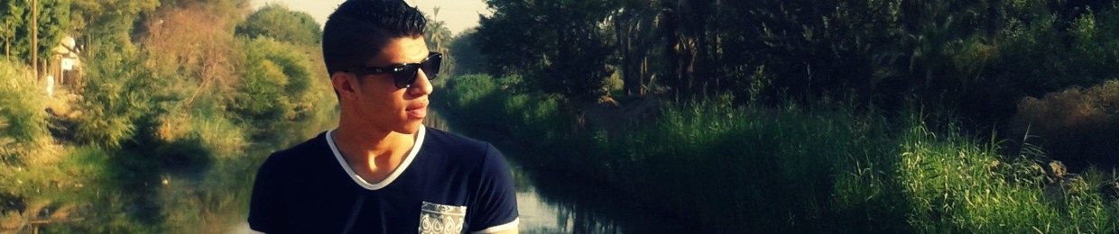 Sherif M Abdullah