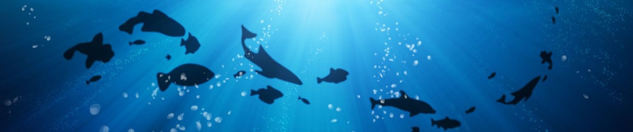 Dou ˎ₍•ʚ•₎ˏ