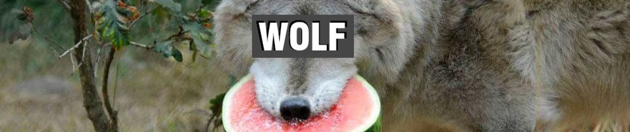 Wolf OJ