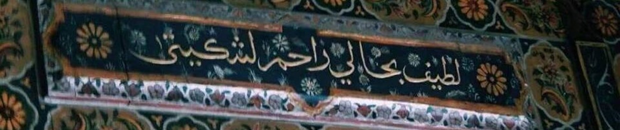 آلاء أحمد