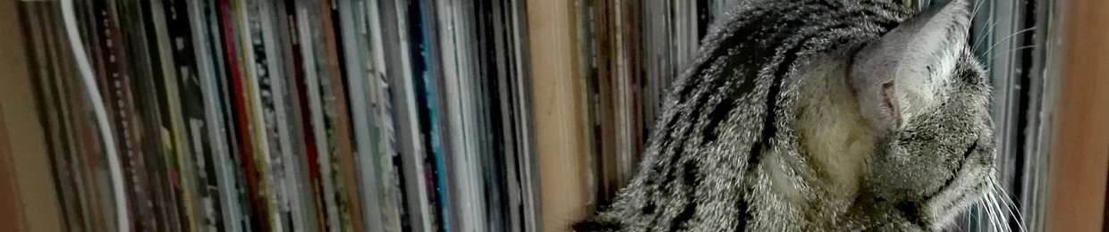 Dancehall Hooliganz (compte principal)