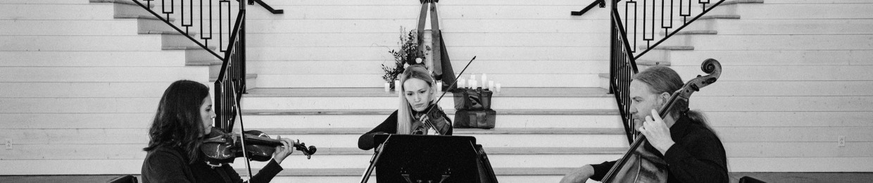 Beau Son Strings & Ensembles