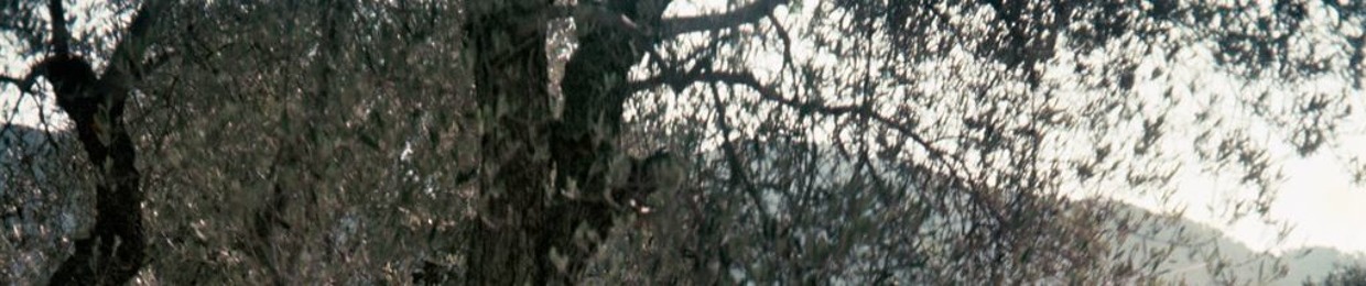 glitzer gold & heiterkeit