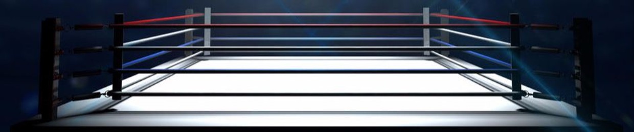 Intelligent Wrestling Conversation