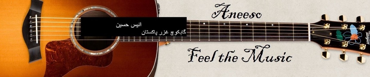 Aneeso (Music Lover)