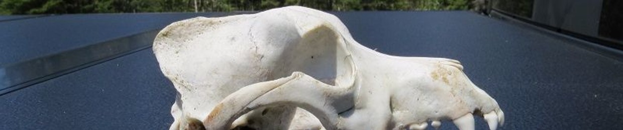MOOSEMAN