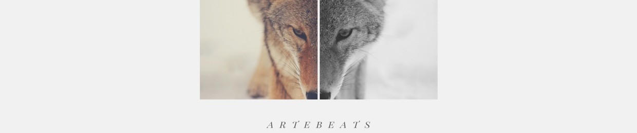 artebeats