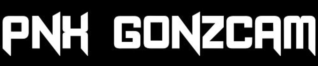 PNX_GONZCAM