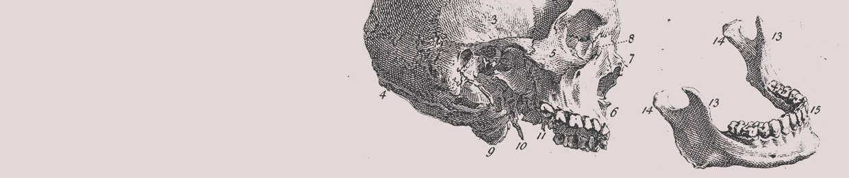 ENDOCRINE INDEX