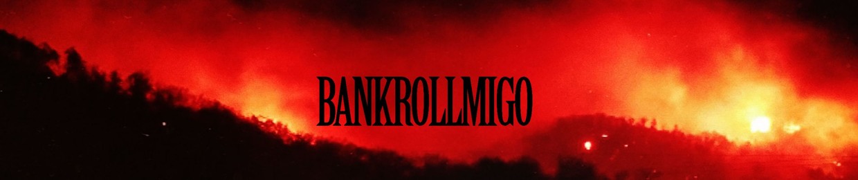 BankRollMigo