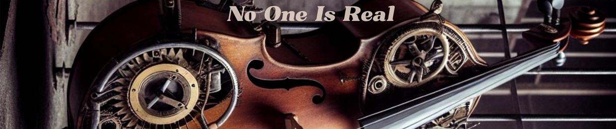 NoOneIsReal(N.O.I.R.)