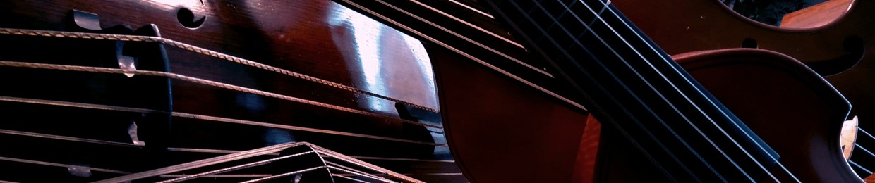 Phillip W. Serna, Double Bass & Violas da Gamba