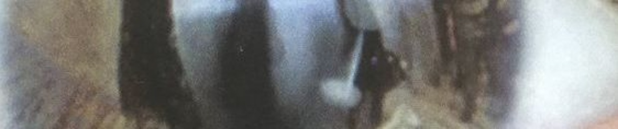 subject_pov