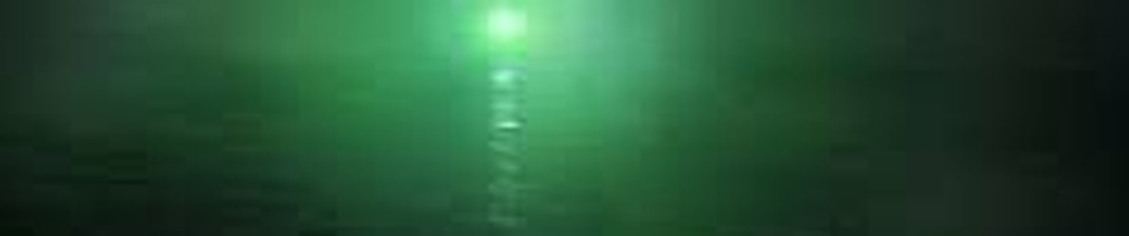 Nicole Adams-Lethbridge