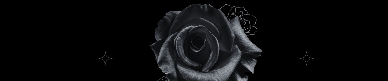 Daniel Rose Blooms
