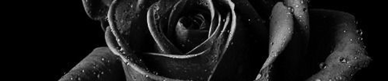 Blood Rose