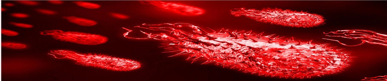 Bacteroid