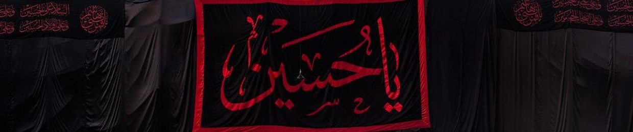 زین علی وارث