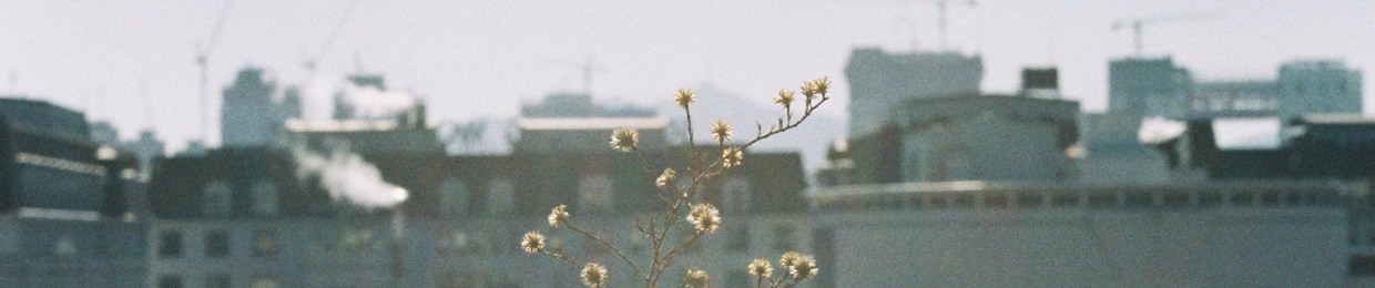 김현신