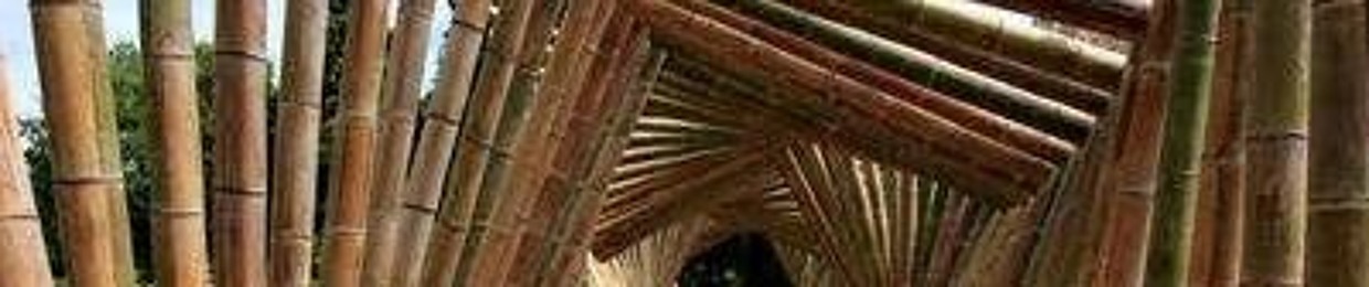 Tanvir Mahamud Masum