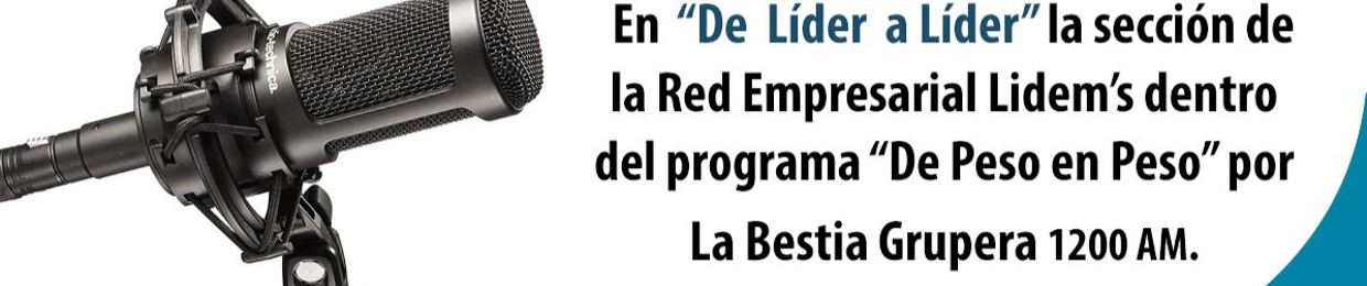 Lidem