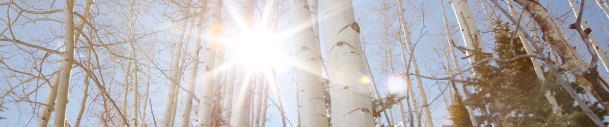 Sikander Muhammad Hussain