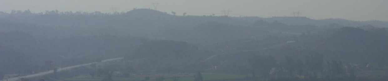 faraea