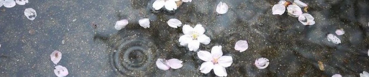 lumi