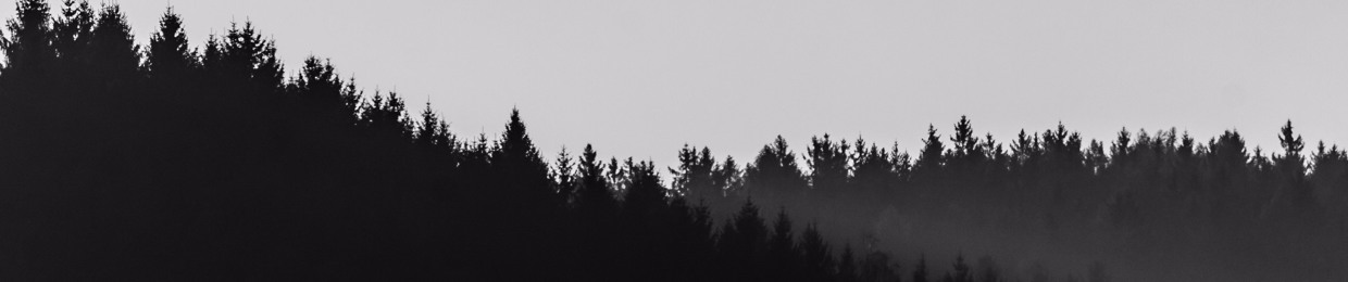 Grey Frequency