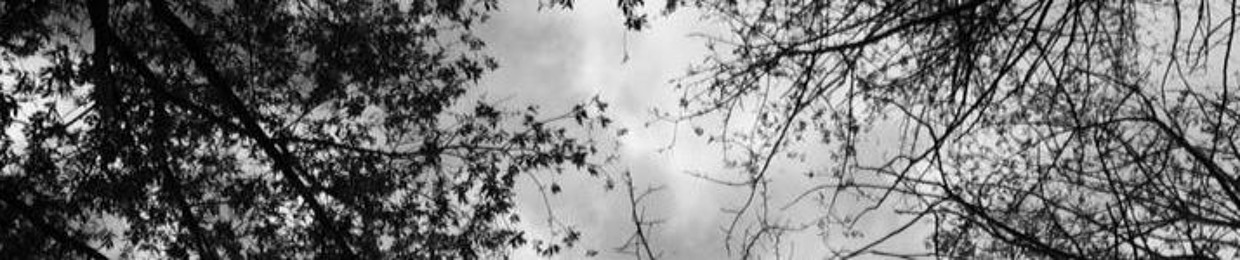 Martina Tenz_Ethereal Shadow