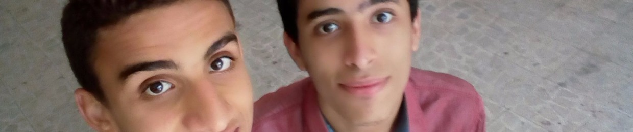 Elsayed Wasef