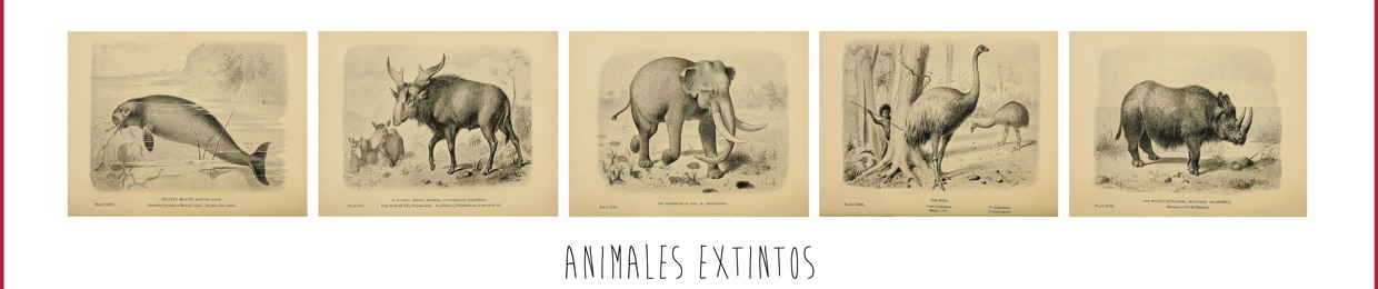 ANIMALESEXTINTOS