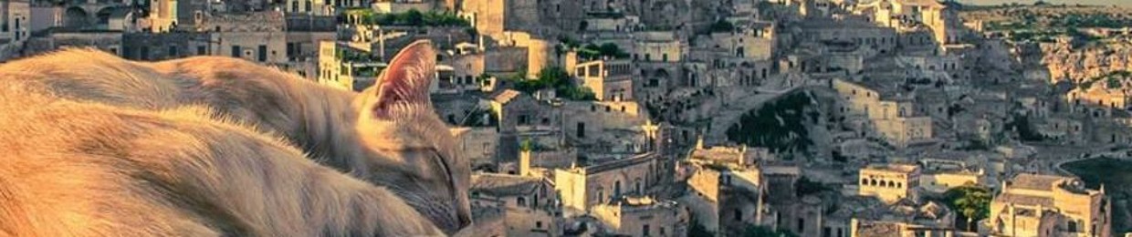 Đức Nguyễn Minh