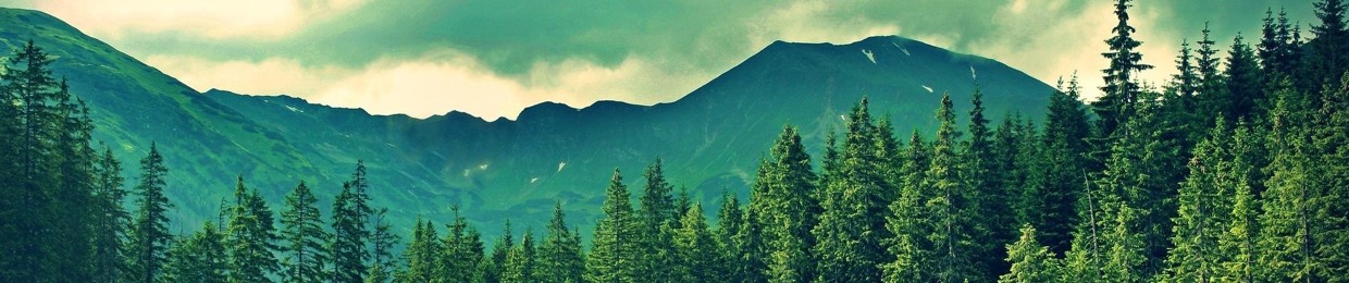 Goodbye Copyright Network