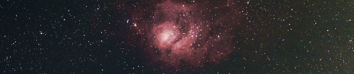 stem0