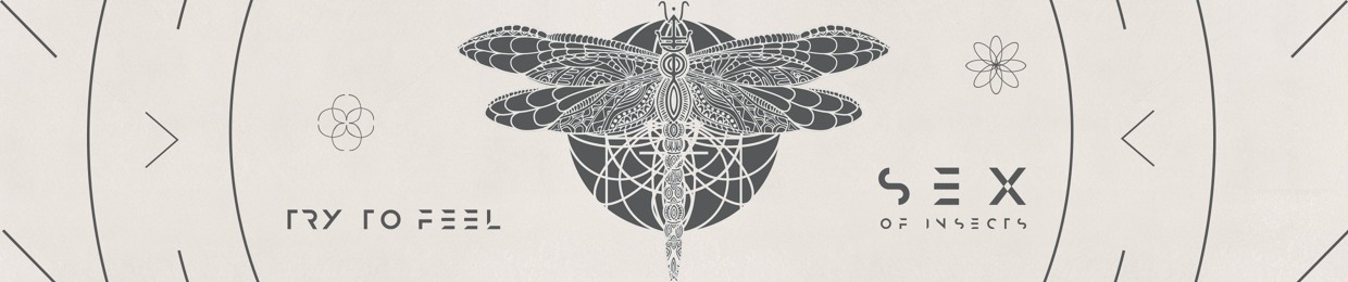 SEX OF INSECTS