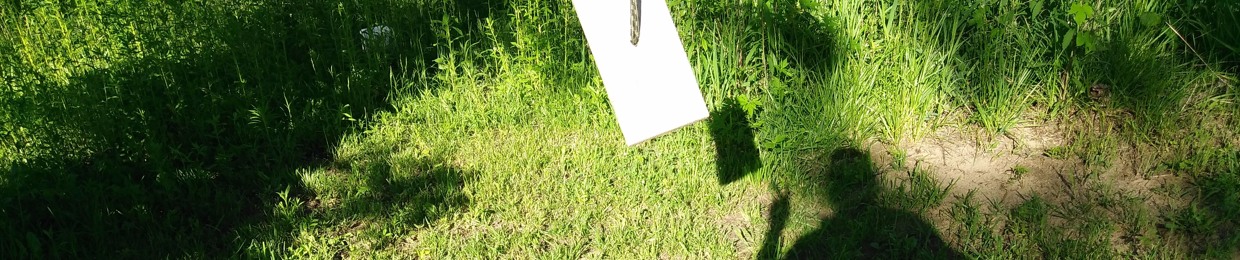 Janes Merlin Dreamweaver