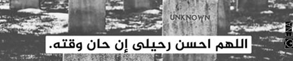 medo eldieb