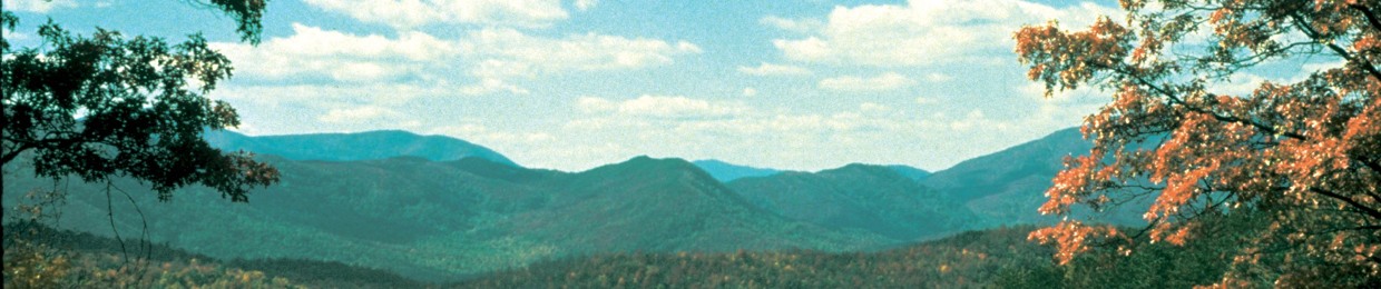 michael is dead and i killed him