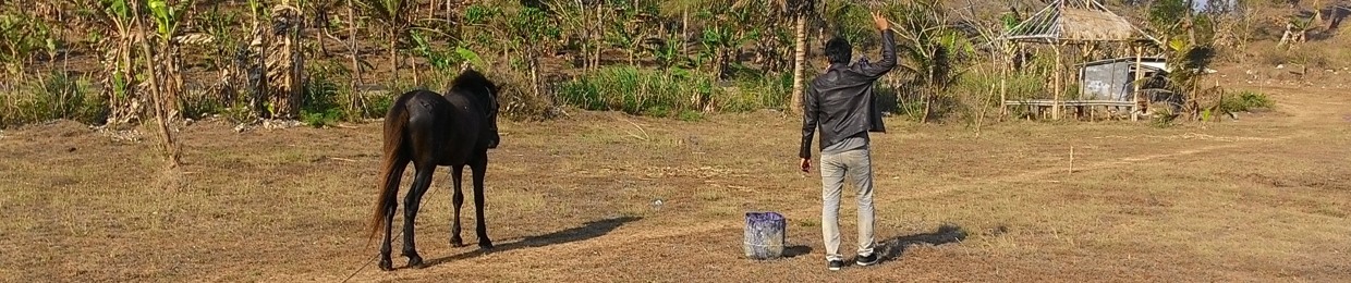 Aditya's12