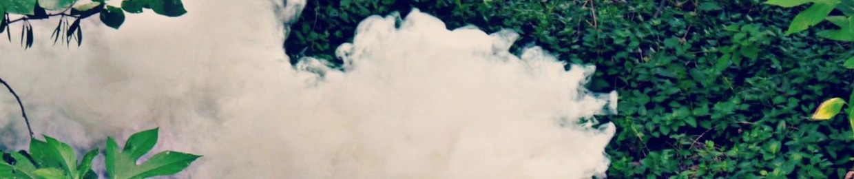 Mister Green Life Store